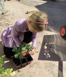 Gardening in Pre-K